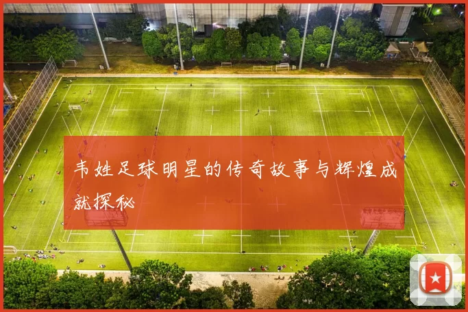 韦姓足球明星的传奇故事与辉煌成就探秘