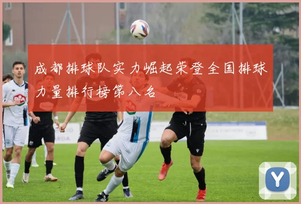 成都排球队实力崛起荣登全国排球力量排行榜第八名