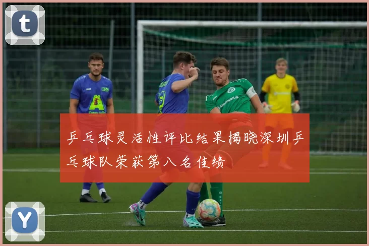 乒乓球灵活性评比结果揭晓深圳乒乓球队荣获第八名佳绩